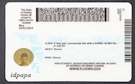 Florida-custom-card-small