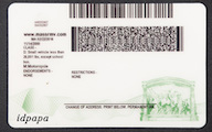 Massachusetts-card-back-shop-small