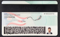 Ohio-card-back-online-small