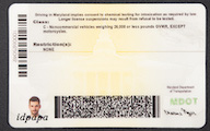 shop-Maryland-novelty-card-back-small